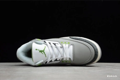 AIR RETRO - CHLOROPHYLL JORDAN 136064-006 3 0715